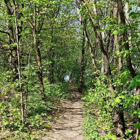 بيت للعطل Interstyl, Energylandia