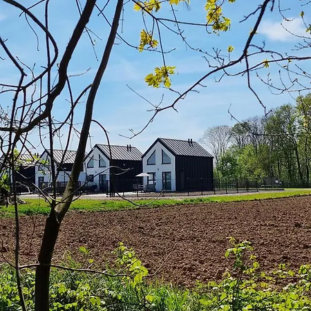 Interstyl, Energylandia زاتور