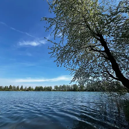 Interstyl, Energylandia * زاتور