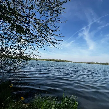 Interstyl, Energylandia زاتور