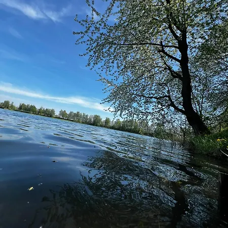 Interstyl, Energylandia زاتور