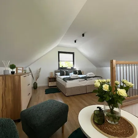 Interstyl, Energylandia * زاتور