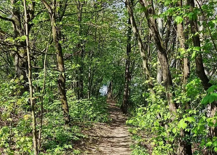 Дом отдыха Interstyl, Energylandia