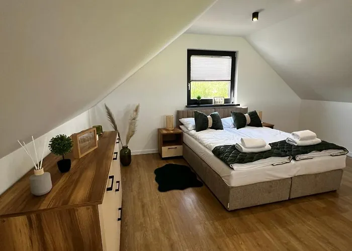 Interstyl, Energylandia * Zator