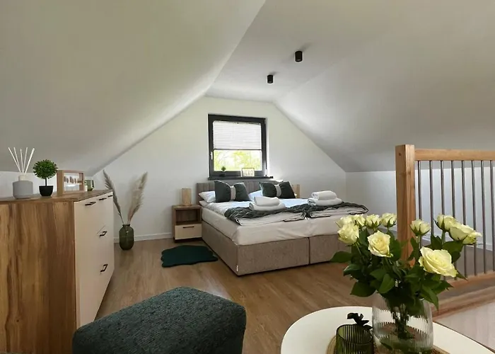 Interstyl, Energylandia * Затор